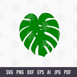 Monstera SVG. Tropical leaves Svg. Monstera plant Svg. Nature Svg. Monstera Leaf Svg. Monstera Cricut. Monstera Cut file. Monstera Decor.