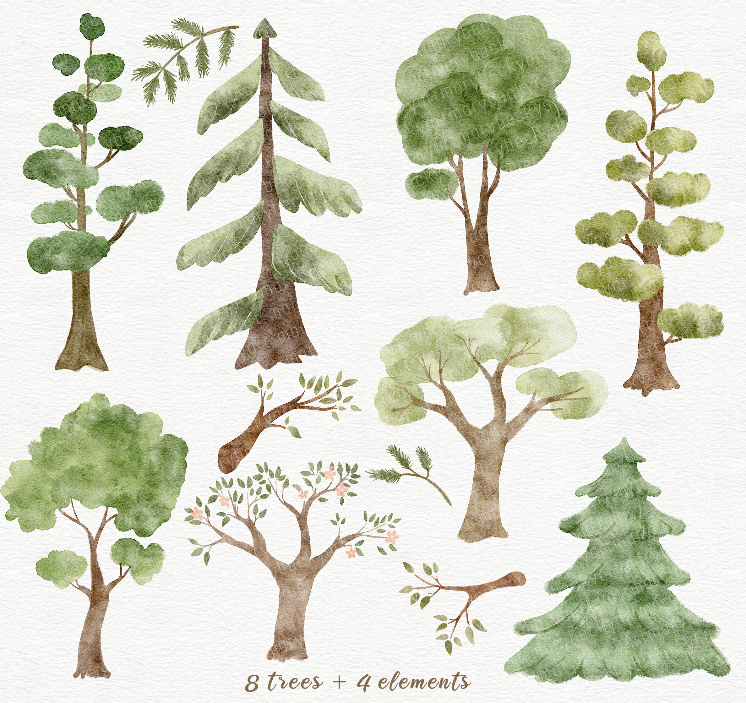 Watercolor Woodland Trees Clipart Set, Png Hand Painted Tree