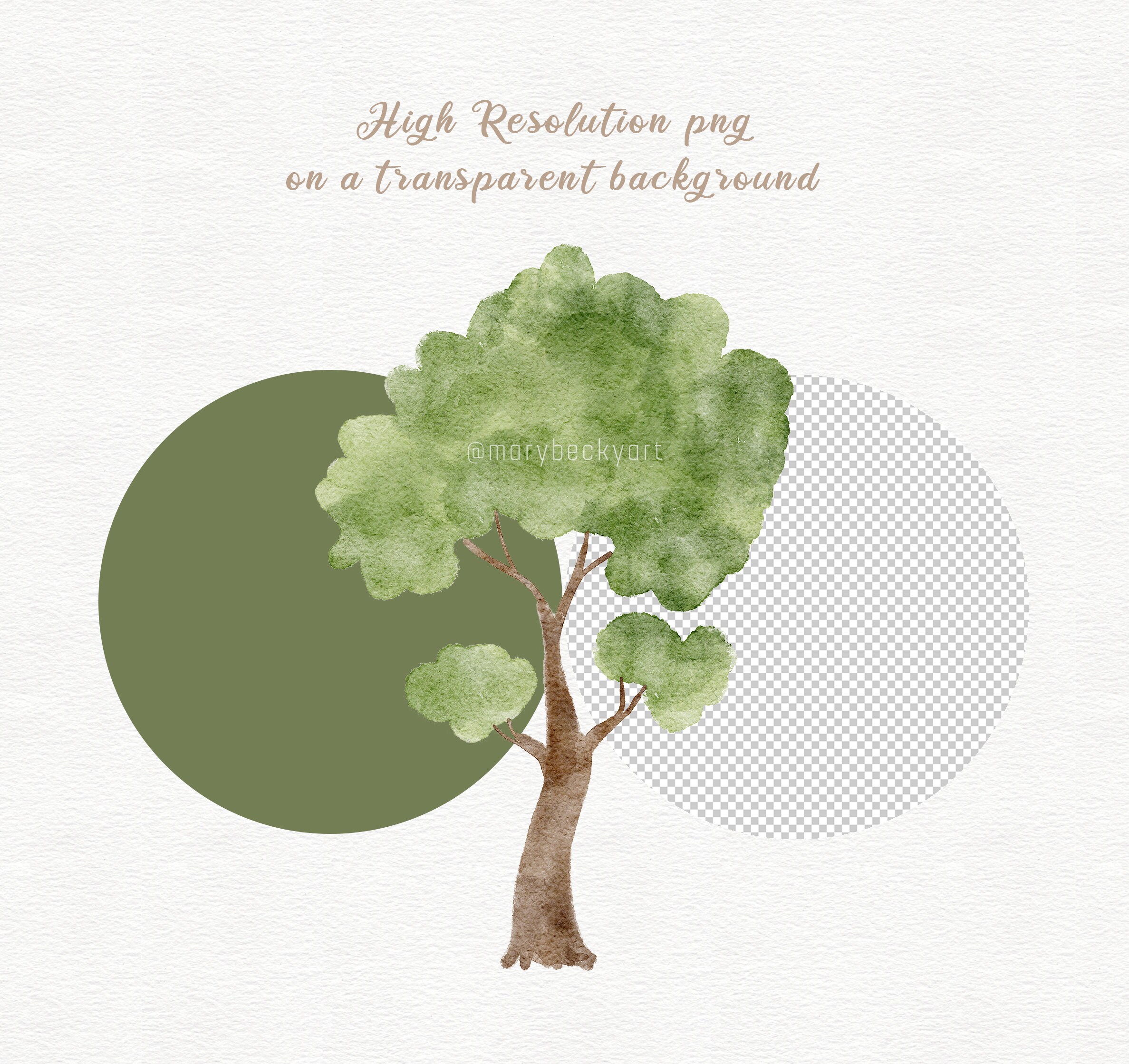 Watercolor Woodland Trees Clipart Set, Png Hand Painted Tree