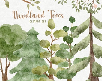 Watercolor Woodland Trees Clipart set, png - Hand Painted Tree Illustrations for Decoration. Instant Download