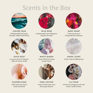 May include: A collage of nine circular images showcasing different scents with descriptive text below each image. The scents include Juniper Seas, Wild Rose, Dark Heart, Gold Dust, White Queen, Angel Scent, Eastern Rose, Pure Cotton, and Lily Rose.