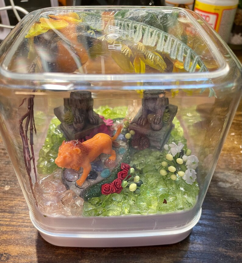 Jumping Spider / Sling Enclosure peaceful Walk Etsy