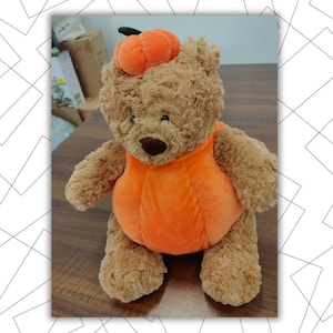 May include: A plush brown teddy bear wearing an orange pumpkin costume, complete with a pumpkin hat. The bear has a brown nose and is sitting upright. A fun Halloween or fall-themed plush toy.