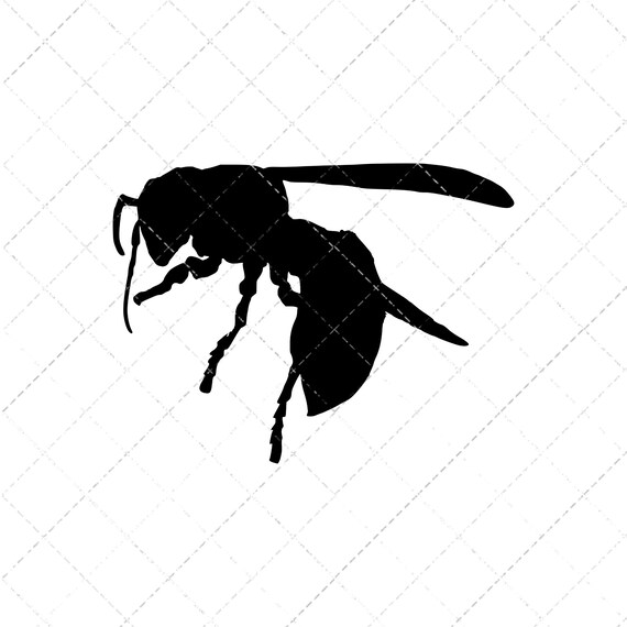 Hornet SVG File - Etsy