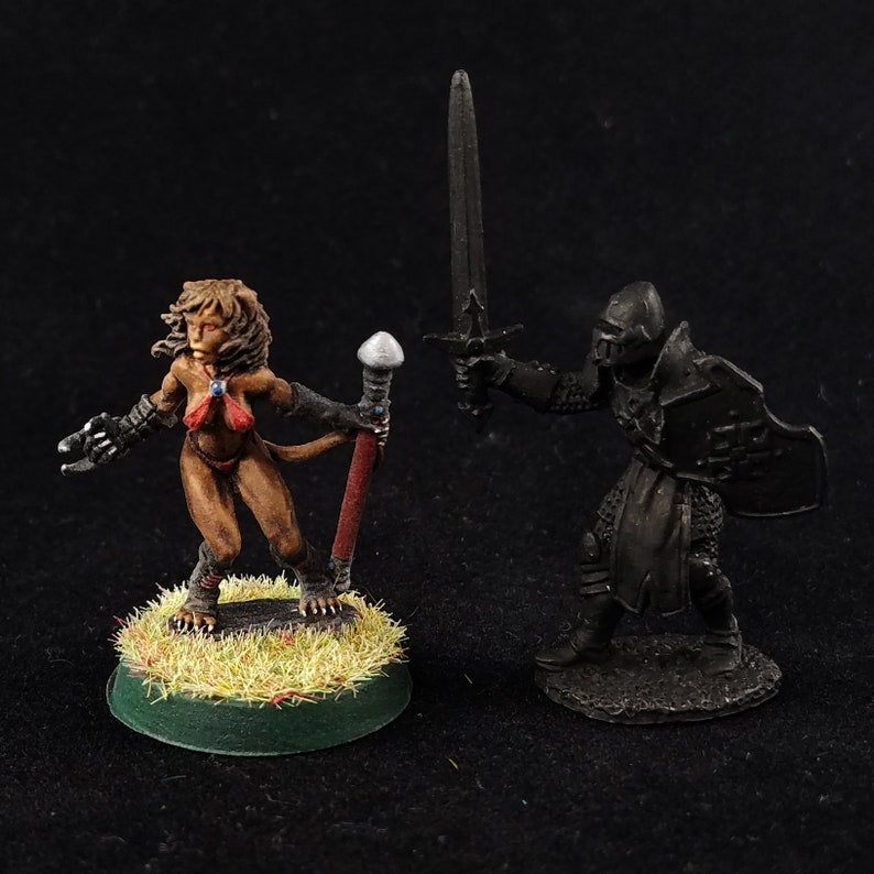 Female Tabaxi Monk Painted Mini Reaper Cat Barbarian