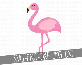 Download Flamingo Svg Etsy