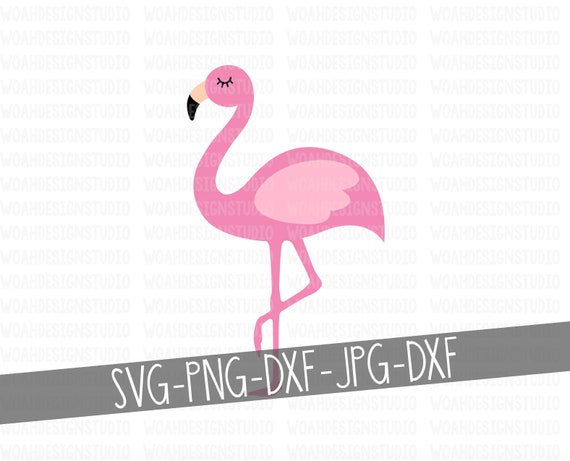 Download Flamingo Svg Flamingo Clipart Beach Svg Summer Svg Svg Etsy