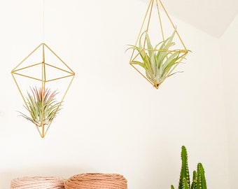 Geometrische Pflanzenhalterung / Indoor- Pflanze / Home Decor / Luft Pflanzen Halterung / Ornamente / Tillandsie / Hängeampel / Wohnzimmer /