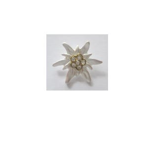 Könnte beinhalten: Eine silberne Edelweiß-Brosche mit einem Cluster aus klaren Strasssteinen in der Mitte.