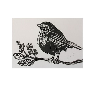 Besondere Linoldruck-Karte "Rotkehlchen", 4 Farben zur Auswahl, Naturfreunde, einheimische Singvögel, Grüsse an tierliebe Menschen versenden