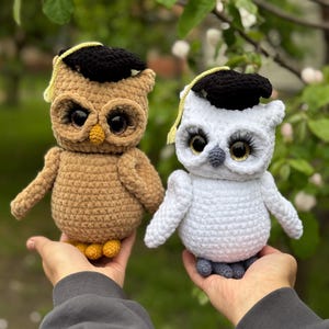 knitted owl, amigurumi plush owl, graduate owl, graduate gift, smart owl toy, owl with big eyes