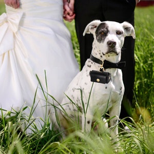 Bolsa de portador de anillo de boda personalizada para perros, portador de anillo de perro, soporte de anillo de boda para mascotas, caja de anillo de cuero, portador de anillo de propuesta, regalo para ella imagen 7