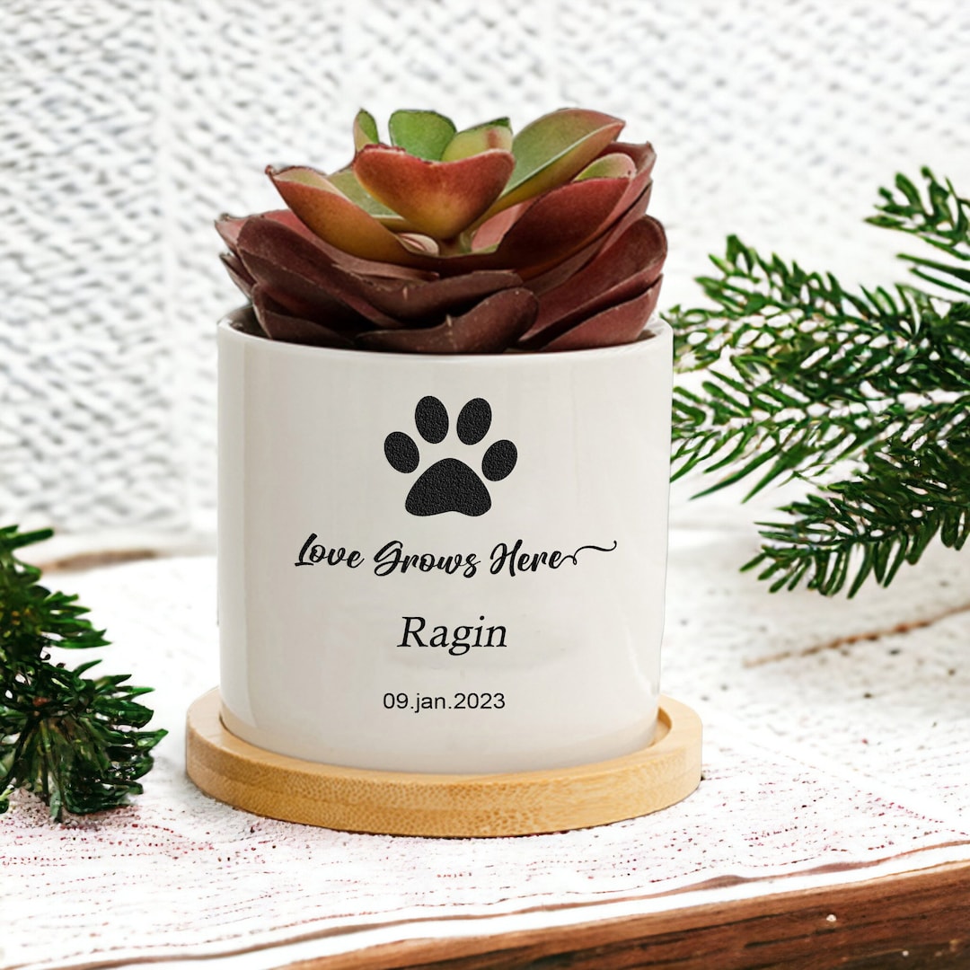 Dog Memorial Plant Pot, Loss of Pet Sympathy Gift, Personalized Photo