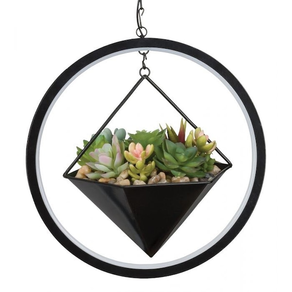 Lumen Succulent Solar Lantern - Hexagon