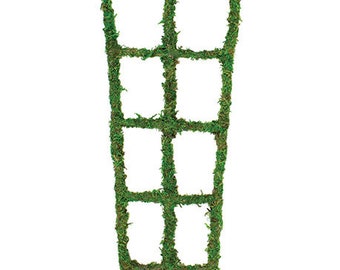 Moss Trellis - 18"