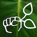 Magic Valley Gardens