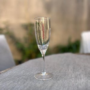 6 flûtes à champagne