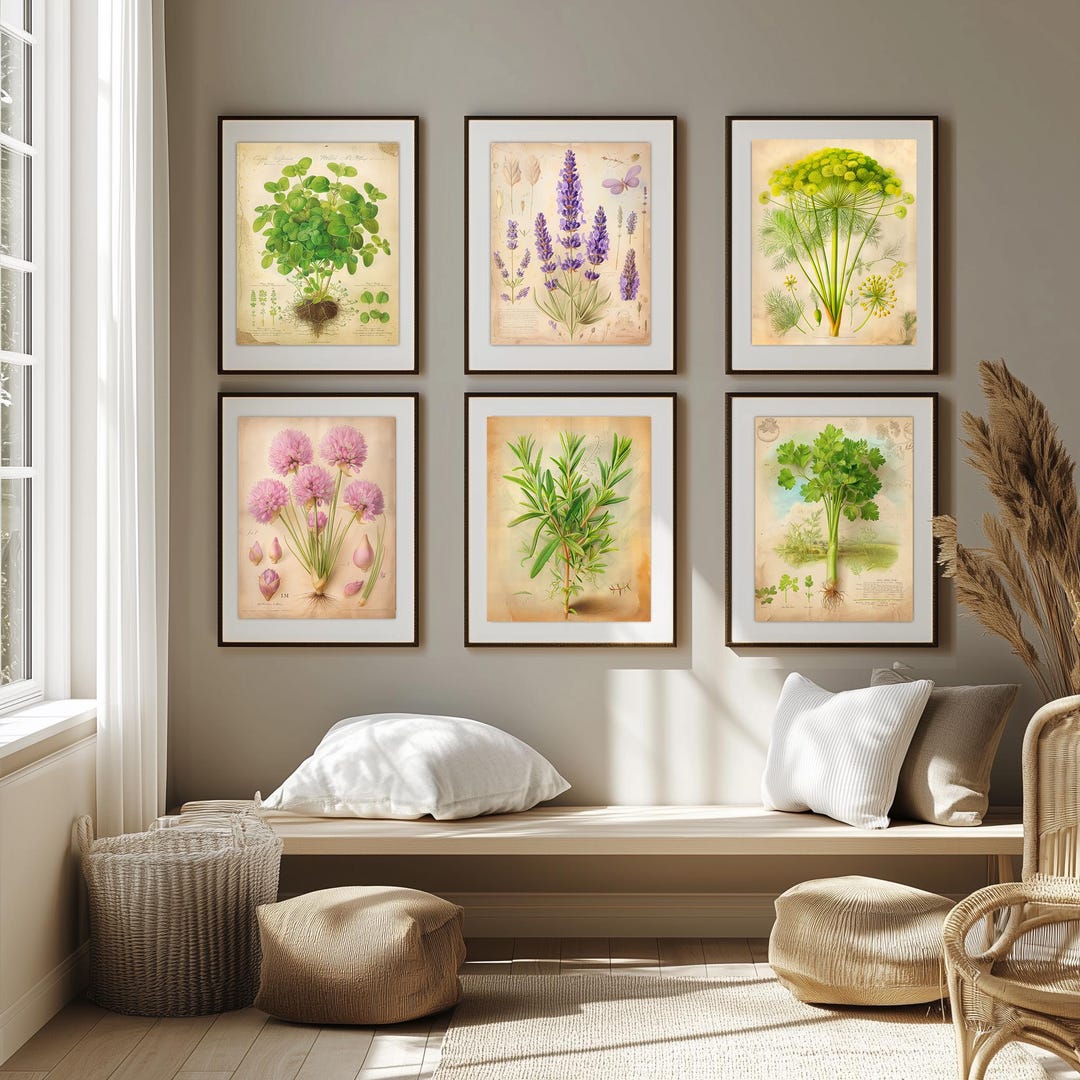 Botanical Herb Wall Art Set – 12 Printable Herbs – Elegant Kitchen ...