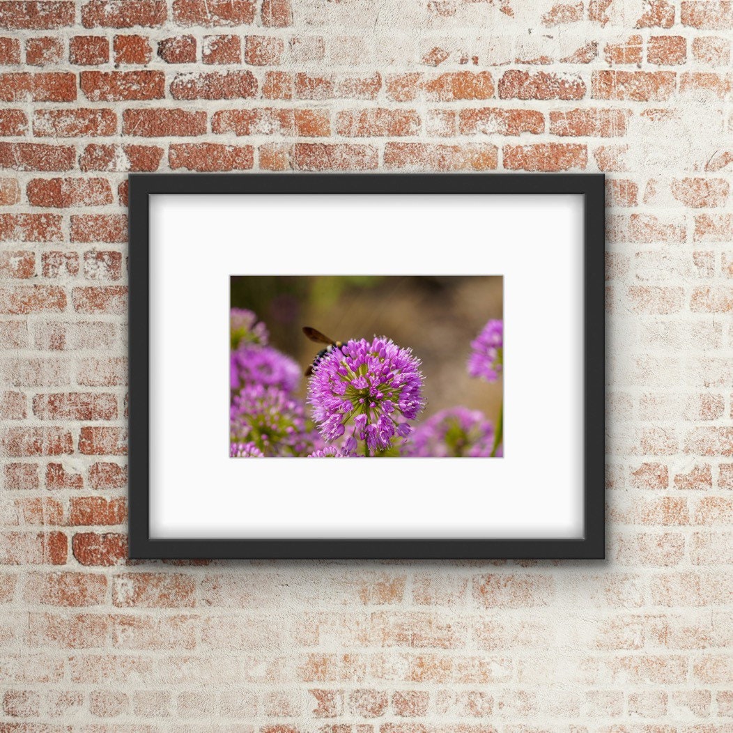 Flower Print / Wall Art / Decor Print Options: Standard | Etsy
