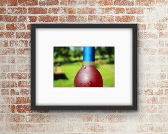 Vineyard Photo Print / Wall Art