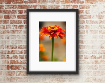 Flower Photo Print / Wall Art