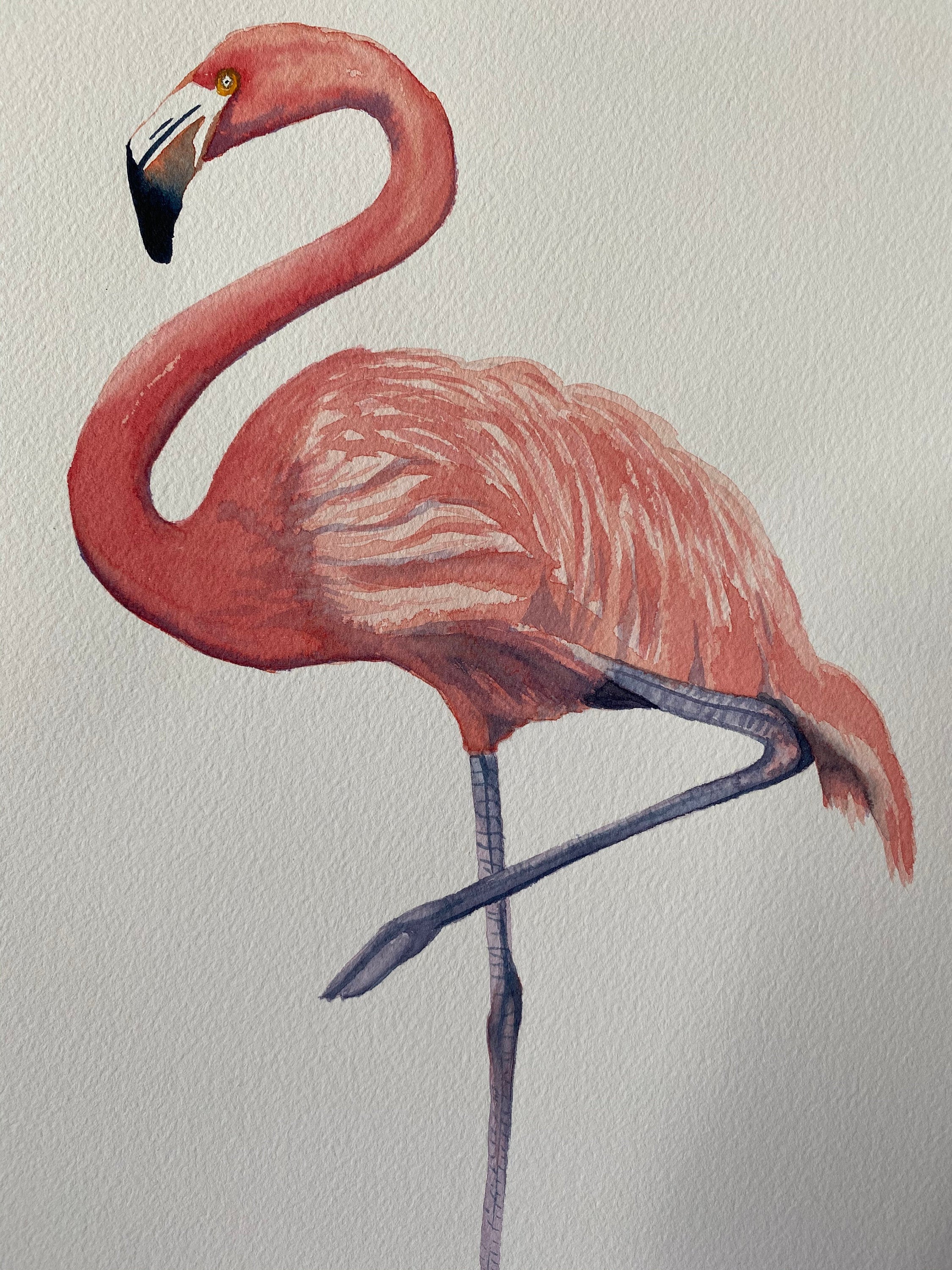 Watercolour Flamingo Painting