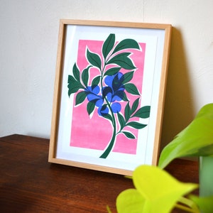 Affiche botanique myrtilles rose vert et bleu