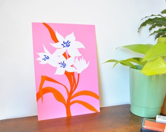 Colorful botanical illustration poster - Tulipa tarda