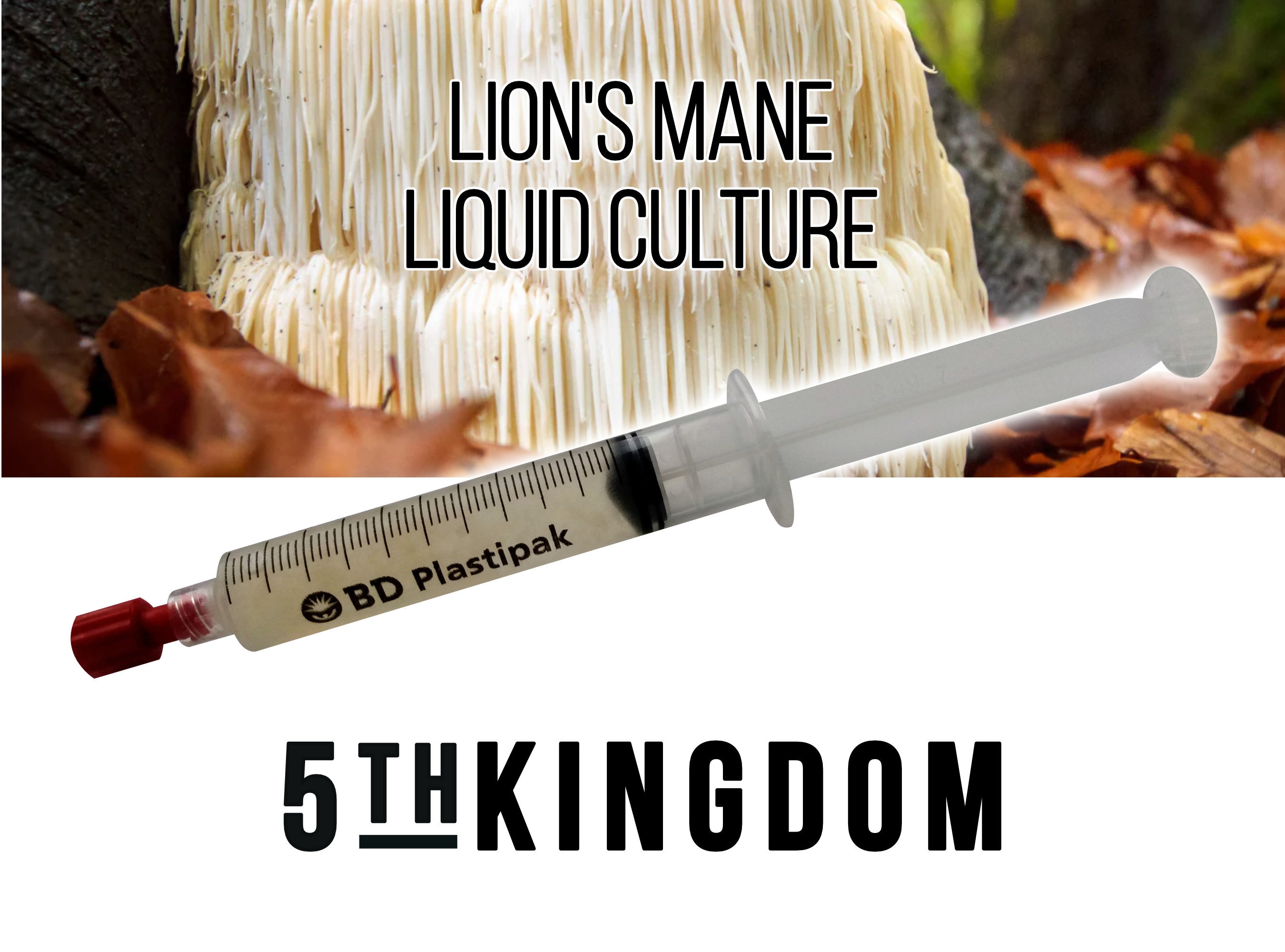 Lion's Mane Liquid Culture Etsy
