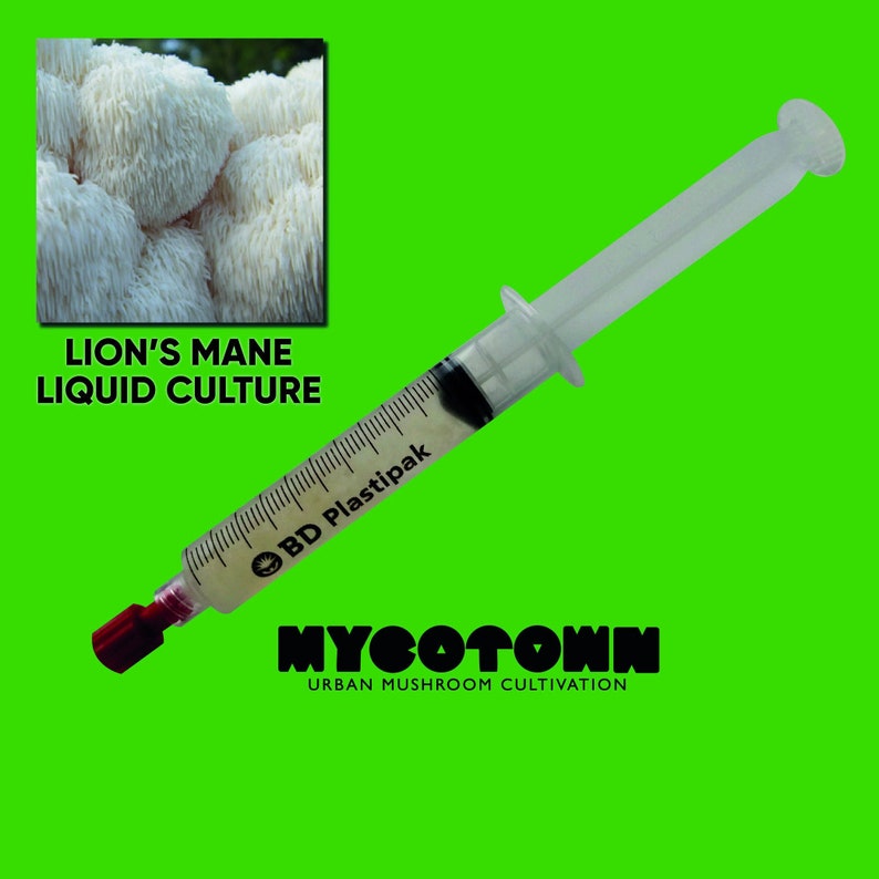 Lion's Mane Liquid Culture Etsy
