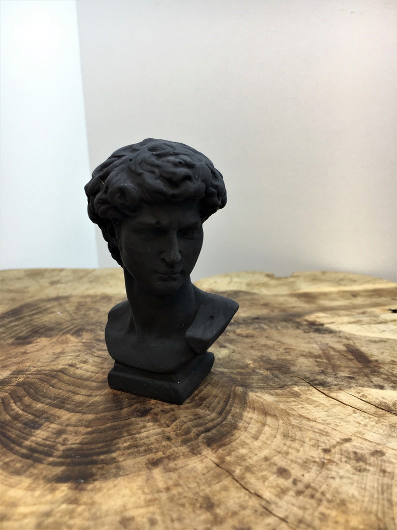 Black Sculpture Decor David Dark Academia Room Decor Plaster Sculpture