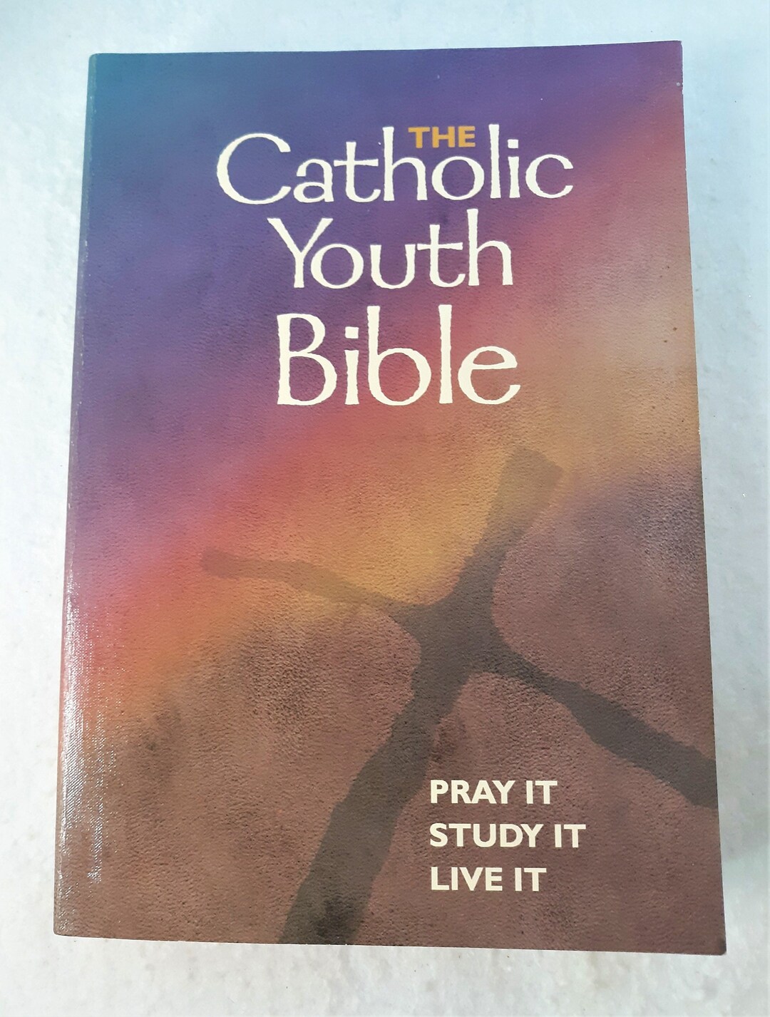 The Catholic Youth Bible Pray It, Study It, Live It New Revised Standard Version NRSV 2000, VG