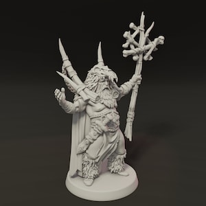 DnD Miniature Human Exalted Nature Wizard miniature for Dungeons and Dragons tabletop RPG Wargaming miniature from Titanforge Miniatures
