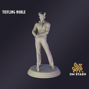 May include: A white Tiefling Noble figurine, standing on a circular base. The figure wears a detailed jacket and pants, holding a cane. The text "TIEFLING NOBLE" is at the top left. The DM STASH logo is at the bottom right.