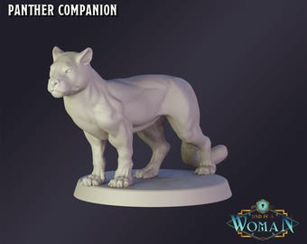 Miniatura de DnD Panther Companion para el juego de rol de mesa Dungeons and Dragons. La miniatura de Wargaming de DnD es una mujer.
