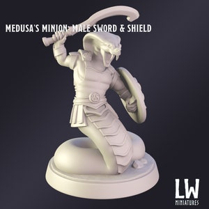 Medusa's Minion Premium Tabletop Game miniature from Lost World Miniatures, Dungeons and Dragons, Pathfinder image 8