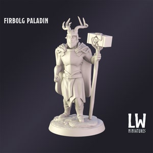 DnD Miniature Firbolg Paladin miniature for Dungeons and Dragons tabletop RPG Wargaming miniature from Lost World Miniatures