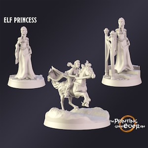 DnD Miniature Elf Princess miniature for Dungeons and Dragons tabletop RPG Wargaming miniature from The Printing Goes Ever On
