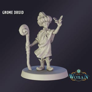 Miniatura DnD Gnomo Druida miniatura para RPG de mesa Dungeons and Dragons miniatura de Wargaming de DnD é uma mulher