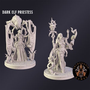 DnD Miniature Dark Elf Priestess  miniature for Dungeons and Dragons tabletop RPG Wargaming miniature from  Archvillain Games