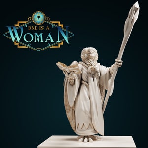 DnD Miniature Aaracokra wizard miniature for Dungeons and Dragons tabletop RPG Wargaming miniature from DnD is a Woman