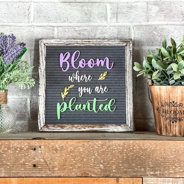 Bloom where you are Planted Letter Board Icons - Spring Decor