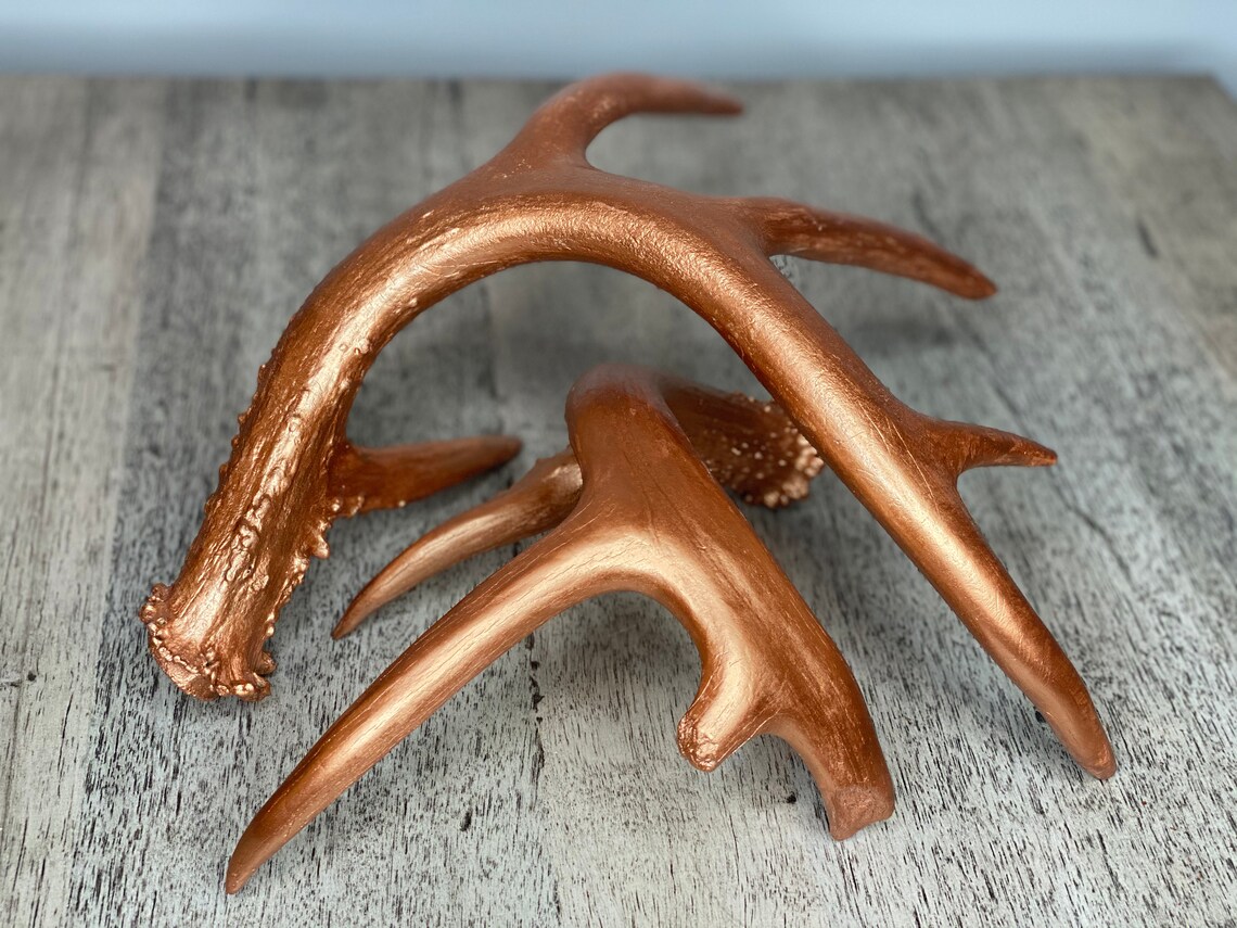 2 Hand Painted Deer Antlers Etsy