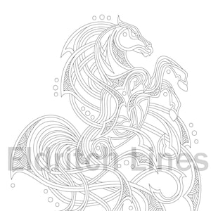 May include: A black and white line drawing of a stylized horse with intricate details. The horse is depicted in a rearing pose with its head turned to the side. The design is reminiscent of Celtic knotwork.