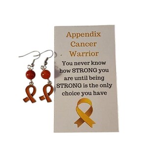 Appendix Cancer Awareness Earrings