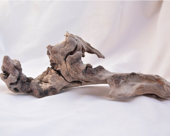 Driftwood Piece. 22 cm. Driftwood Decor. Driftwood for arts. Driftwood Sculpture. Driftwood Chunk. Beach Decor.Greek Driftwood