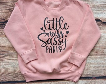 May include: A pink sweatshirt with the text "little miss sassy pants" in black lettering. The text is surrounded by small hearts.