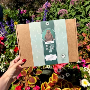 Needle Felting Craft Kit - Bear