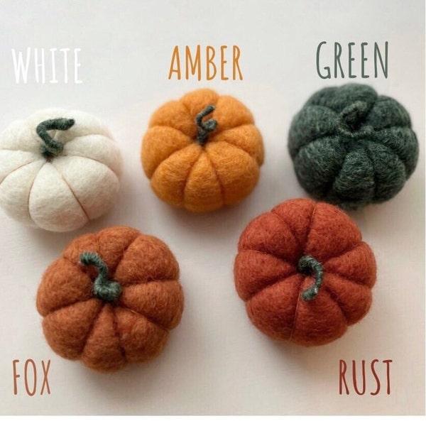 Large needle felt pumpkin thanksgiving