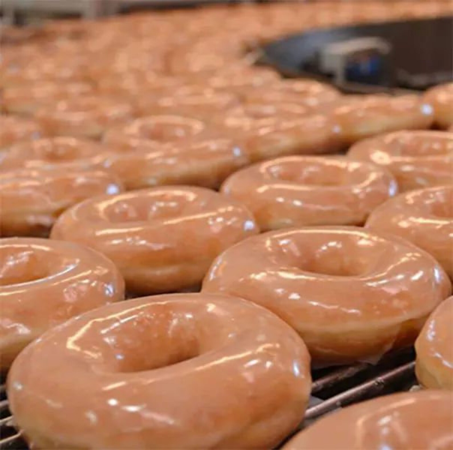 20 Krispy Kreme BOGO Card Buy 1 Get 1 Dozen Free 10 Offers Etsy